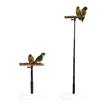 Kuş Standı Ahşap Masaüstü Standı Pet Kuş Taşınabilir Ayarlanabilir Eğitim Taşlama Standı Geri Çekilebilir Kuş oyun alanı oyuncakları